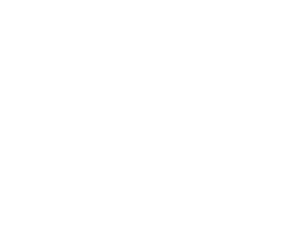 Lifefun Logo